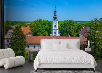 Bodjani monastery in Serbia during a sunny day Wall mural