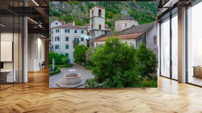 Church of Saint Mary collegiate in Kotor, Montenegro Wall mural