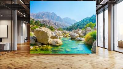 Lagoon with turqoise water in Wadi Tiwi in Oman. Wall mural