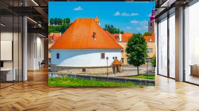 Mihelic gallery in Slovenian town Ptuj Wall mural