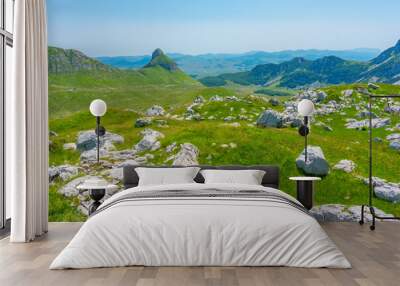 Peaks of Durmitor national park viewed behind a meadow, Montenegro Wall mural