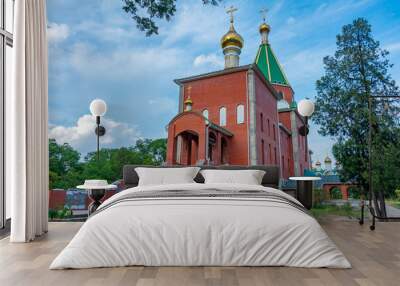 Presentation of the Child Jesus Church in Tiraspol, Moldova Wall mural