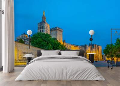 Sunset view of Palais de Papes and the cathedral in Avignon, France Wall mural