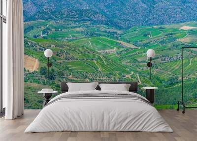 Vineyards at Douro valley in Portugal Wall mural