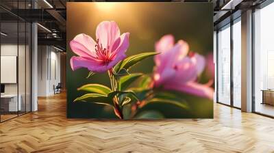 Radiant pink flower blooming under sunlight, embodying growth, hope, beauty, nature, and resilience Wall mural