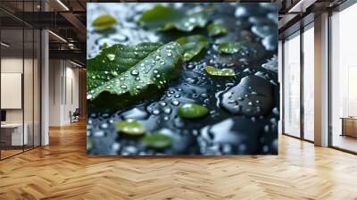 Tranquil nature scene of raindrop-dappled leaves and smooth stones on a wet, textured surface Wall mural