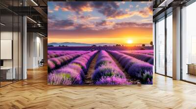 Vibrant lavender fields stretch to the horizon under a soft golden sunset, illuminating the serene landscape with a warm, tranquil glow. Wall mural