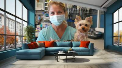 A nurse holding two small dogs in scrubs and wearing a mask, with one dog having white chest fur and the other with tan body color. Wall mural