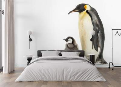 A realistic adult emperor penguin standing next to a baby emperor penguin, isolated on a white background. Wall mural