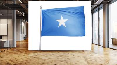 Somalia flag  Wall mural