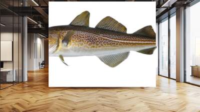 Atlantic cod fresh, Gadus morhua, fish of Greenland Wall mural