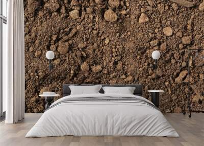 Dirt background and texture, top view Wall mural