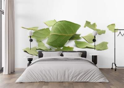 Dried green bay leaves, isolated on white  Wall mural