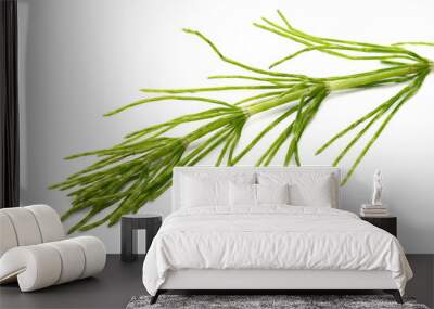 Fern horsetail (Equisetum arvense) isolated on white background Wall mural