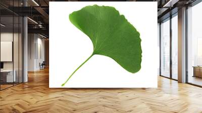 Fresh ginkgo biloba green leaf isolated on white, top view Wall mural