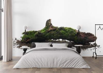 Fresh green moss on rotten branch and dirt isolated on white, side view, clipping path Wall mural