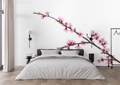 Fruit flowers blooming with twig isolated on white, with clipping path Wall mural