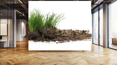 Green grass with dirt isolated on white background and texture Wall mural