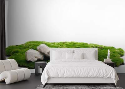 Green moss and rocks isolated on white background and texture Wall mural