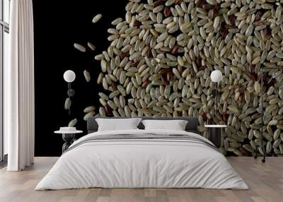 Integral rice pile isolated on black background, top view Wall mural