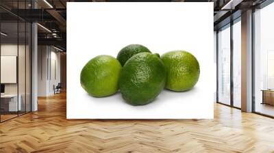 Limes isolated on white background Wall mural