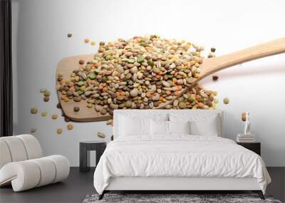 Mixed legumes and cereals, peeled barley, green, yellow and dark red lentils, half green peas, black white beans, green beans with wooden spatula isolated on white background Wall mural