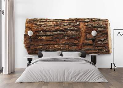 oak stump, log fire wood isolated on white background with clipping path Wall mural