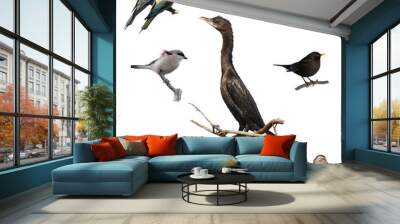 set birds isolated on white backgrounds, textures Wall mural