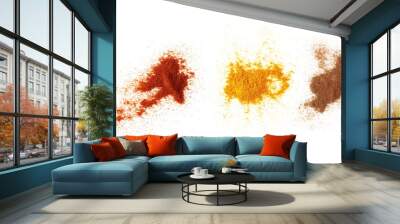 set spices pile, oregano, red paprika powder, turmeric, cinnamon, ginger, isolated on white backgrou Wall mural