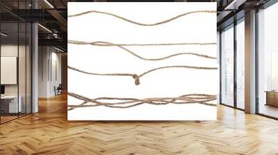 String, set rope isolated on white, top view Wall mural