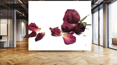 Withered dry red rose flower isolated on white background Wall mural