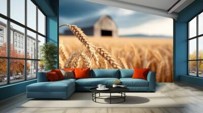 A close-up shot of wheat stalks set against a barn background at dusk. This image epitomizes rustic charm, the beauty of natural agriculture, and the humility of farm life. Wall mural