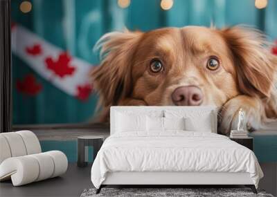 Adorable dog with a sweet expression resting its paws over a surface, captured against a teal background with Canadian maple leaf decorations, conveying charm and national pride. Wall mural