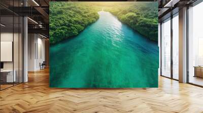 An aerial view displays a striking blue-green river winding its way through dense, lush forests, eventually meeting the horizon under a golden, sunlit sky. Wall mural