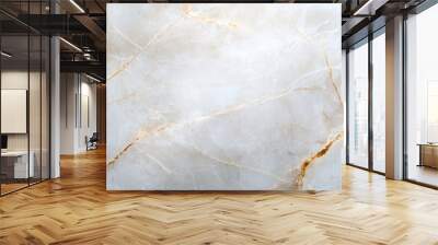 An exquisite close-up of marble surface showcasing delicate gold veining throughout, exemplifying luxury and a natural elegance with artistic beauty. Wall mural