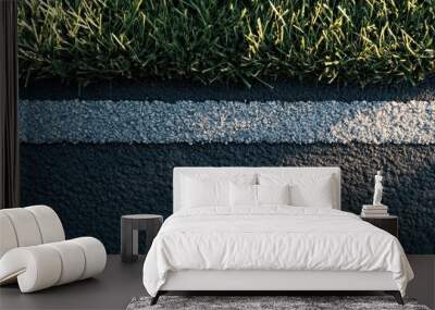 Close-up view of green grass bordering a black asphalt road with a distinct white line, showcasing contrast and texture in natural and man-made materials. Wall mural