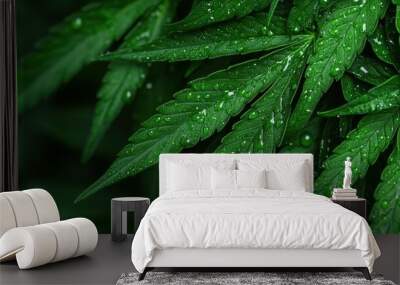 This visually stunning photograph depicts a vibrant green leaf, accented with refreshing droplets of water, capturing the essence of vitality and organic splendor. Wall mural