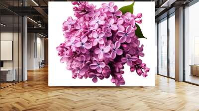 a bunch of purple flowers Wall mural