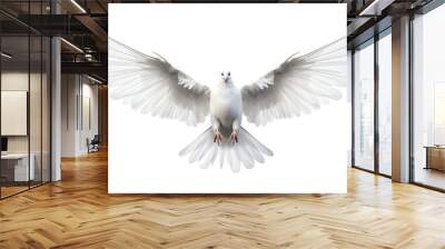 a white bird with wings spread Wall mural