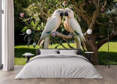 beautiful two white parrots on the tree Wall mural