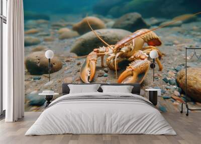 A large lobster is on the beach, surrounded by rocks. Concept of adventure and exploration, as the lobster is in an unusual environment Wall mural