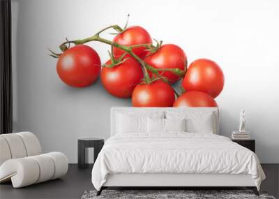 A bunch of fresh juicy red ripe tomatoes on the vine isolated against a transparent background Wall mural