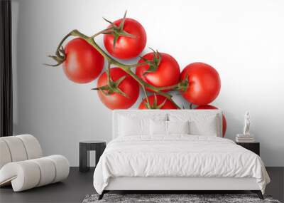 A bunch of ripe juicy red tomatoes on the vine isolated against a transparent background Wall mural