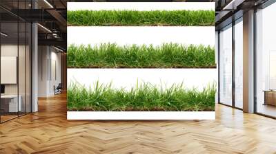 A collection of real grass borders, short, medium and long grass edges isolated on a transparent background. Wall mural