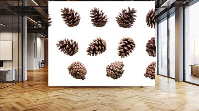 A collection of small pinecones for Christmas tree decoration isolated against a transparent background. Wall mural