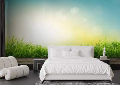 a natural spring garden background of fresh green grass with a bright blue sunny sky with a wooden t Wall mural