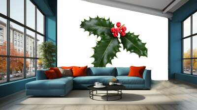 a sprig, three leaves, of green holly and red berries for christmas decoration isolated against a tr Wall mural