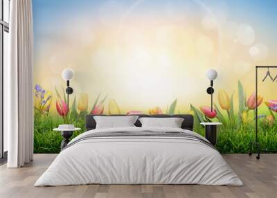 A sprinf background of colorful tulips and green grass lawn with a bright sun background Wall mural