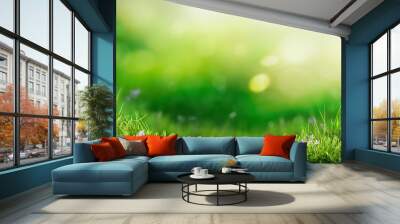 A warm summer garden background of a green grass lawn and a blurred background of lush green foliage and strong sunlight. Wall mural