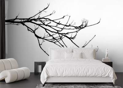 Bare tree branches in winter isolated against a flat background. Wall mural